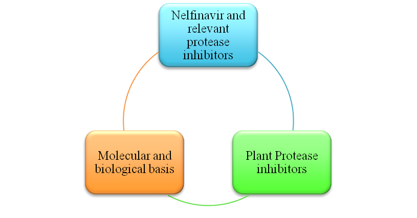 Figure 1: Approaches to design protease inhibitors
